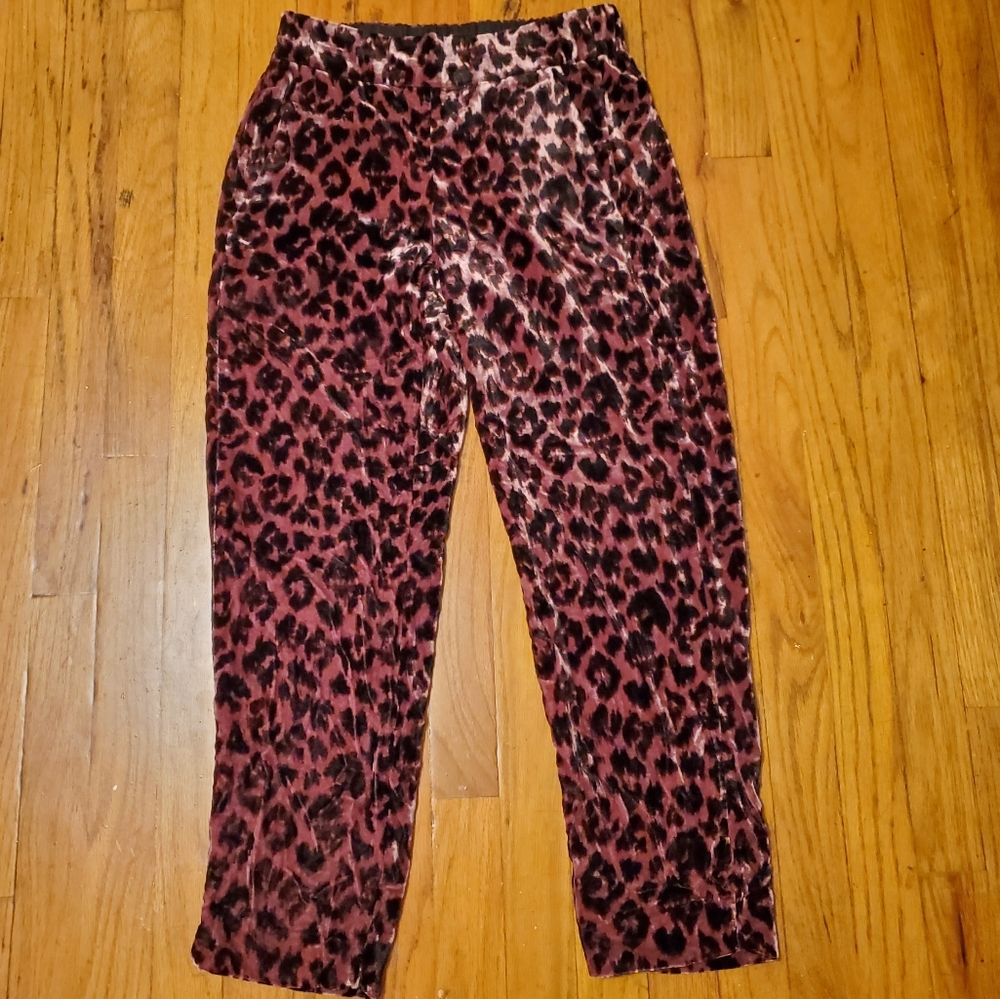 J. Crew Velour Pants 00